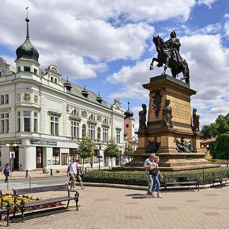 Apartment Spa And Fontain Podebrady Exterior photo
