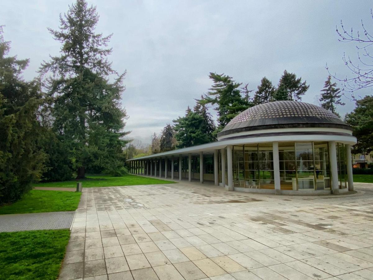 Apartment Spa And Fontain Podebrady Exterior photo